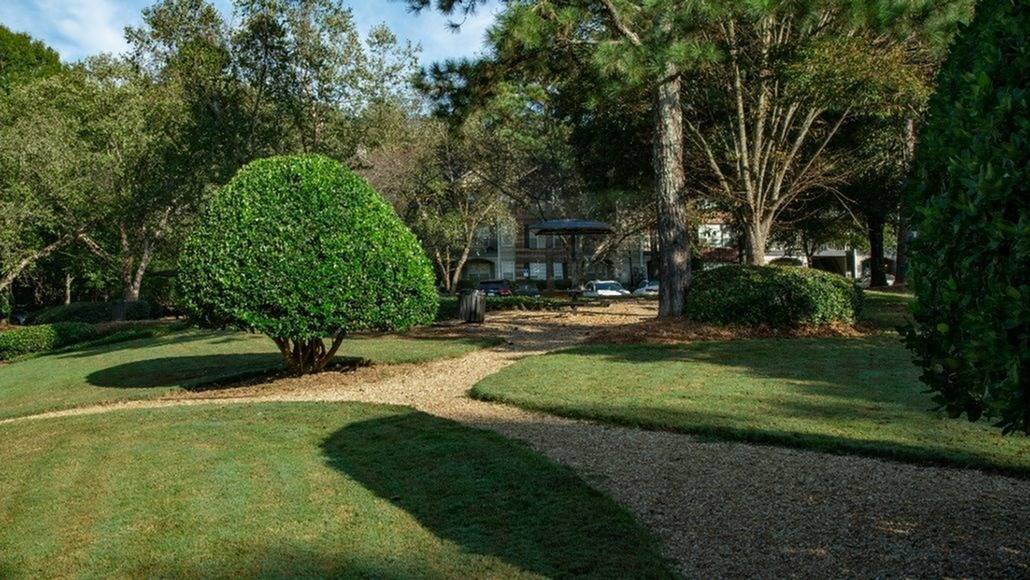 River Vista Image 18