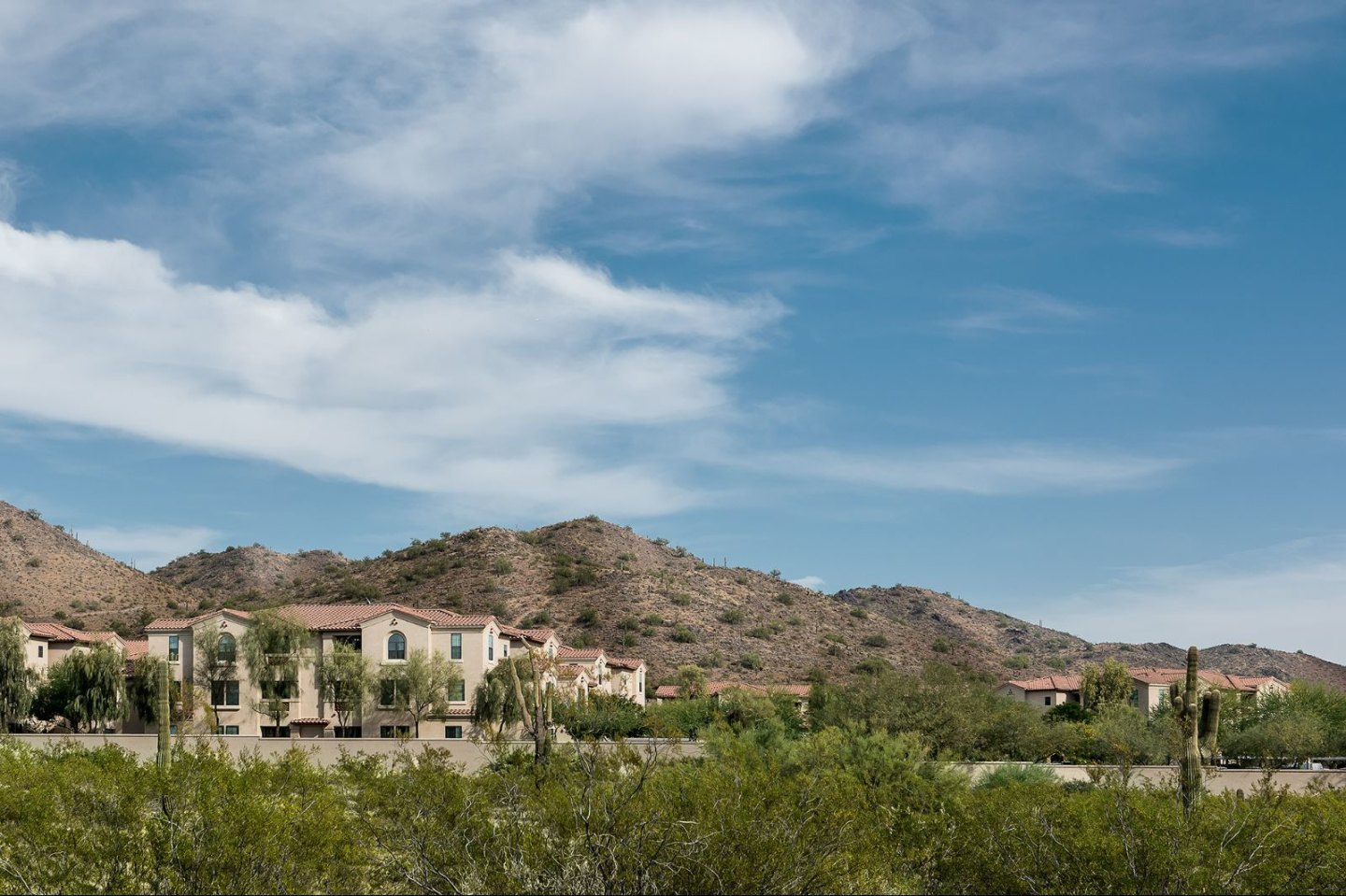San Norterra by Mark-Taylor Image 6