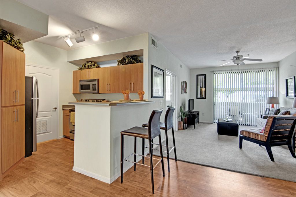 Acclaim Image 4