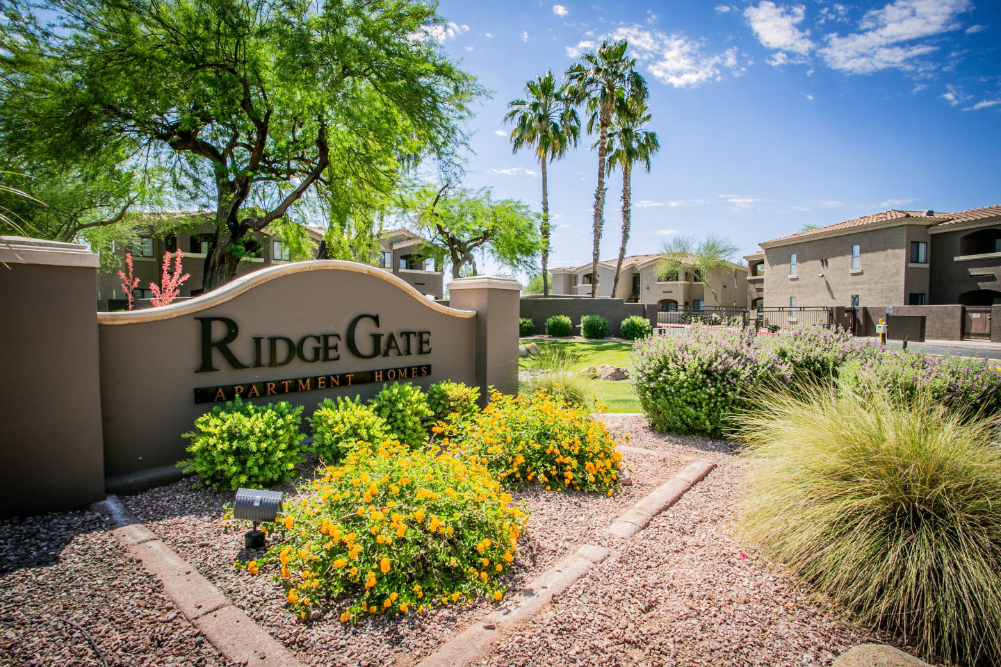 RidgeGate Image 15