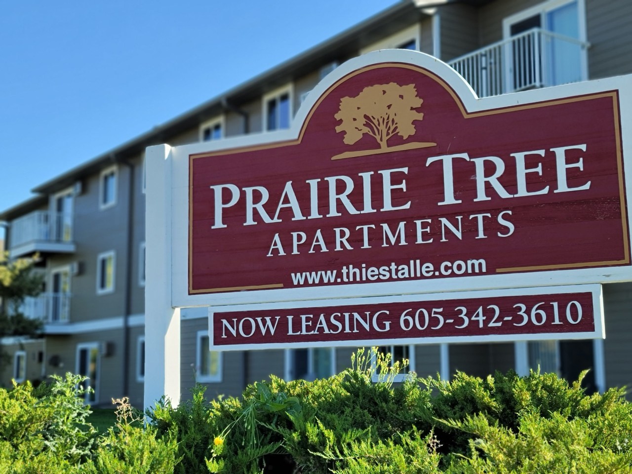 Prairie Tree Image 13