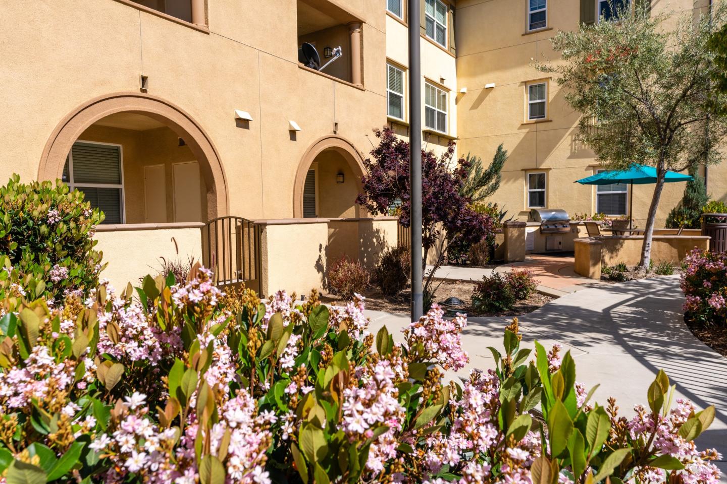 Paseos At Magnolia Luxury Apartment Homes Image 30