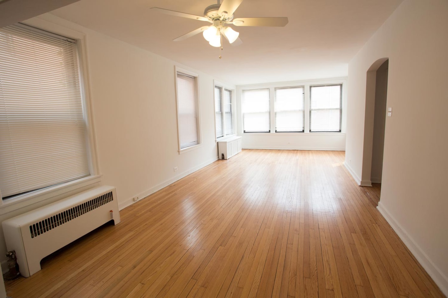 5337 S. Hyde Park Boulevard Image 15