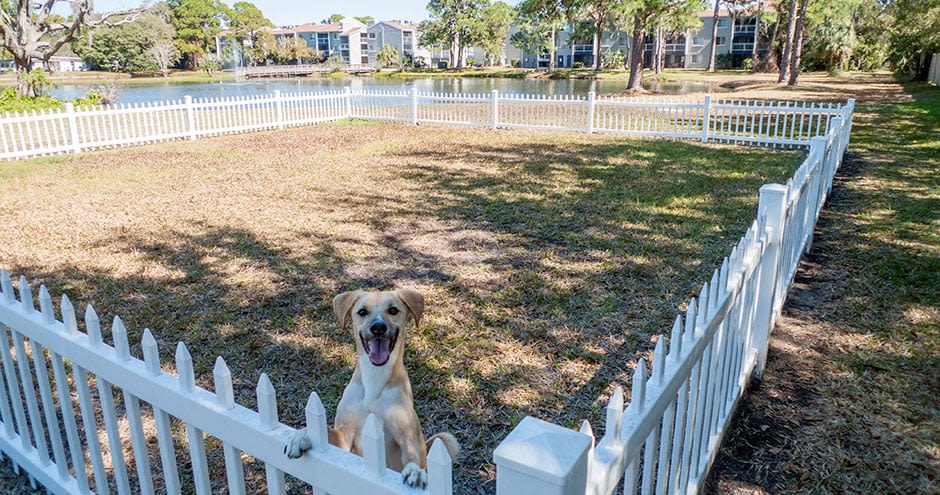 Promenade at Edgewater Image 17