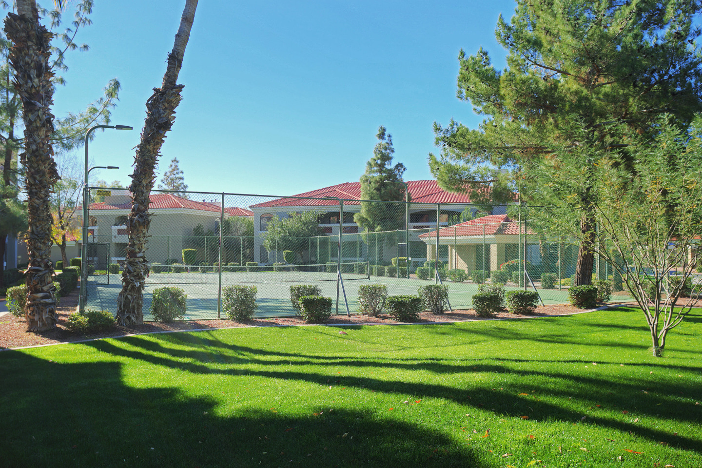 San Melia Image 8