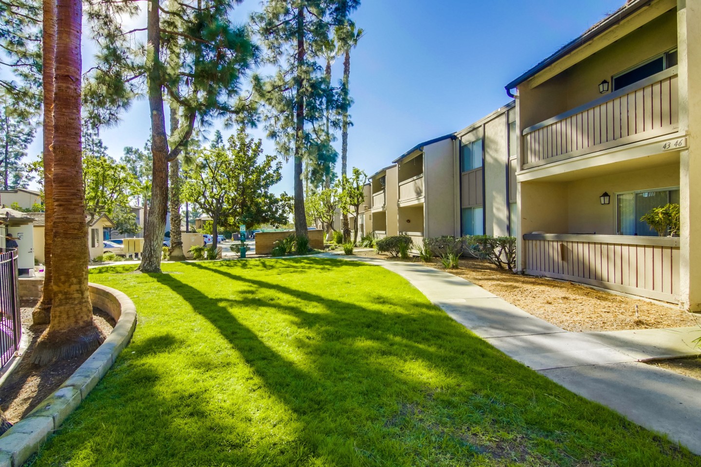 Shasta Lane Image 18