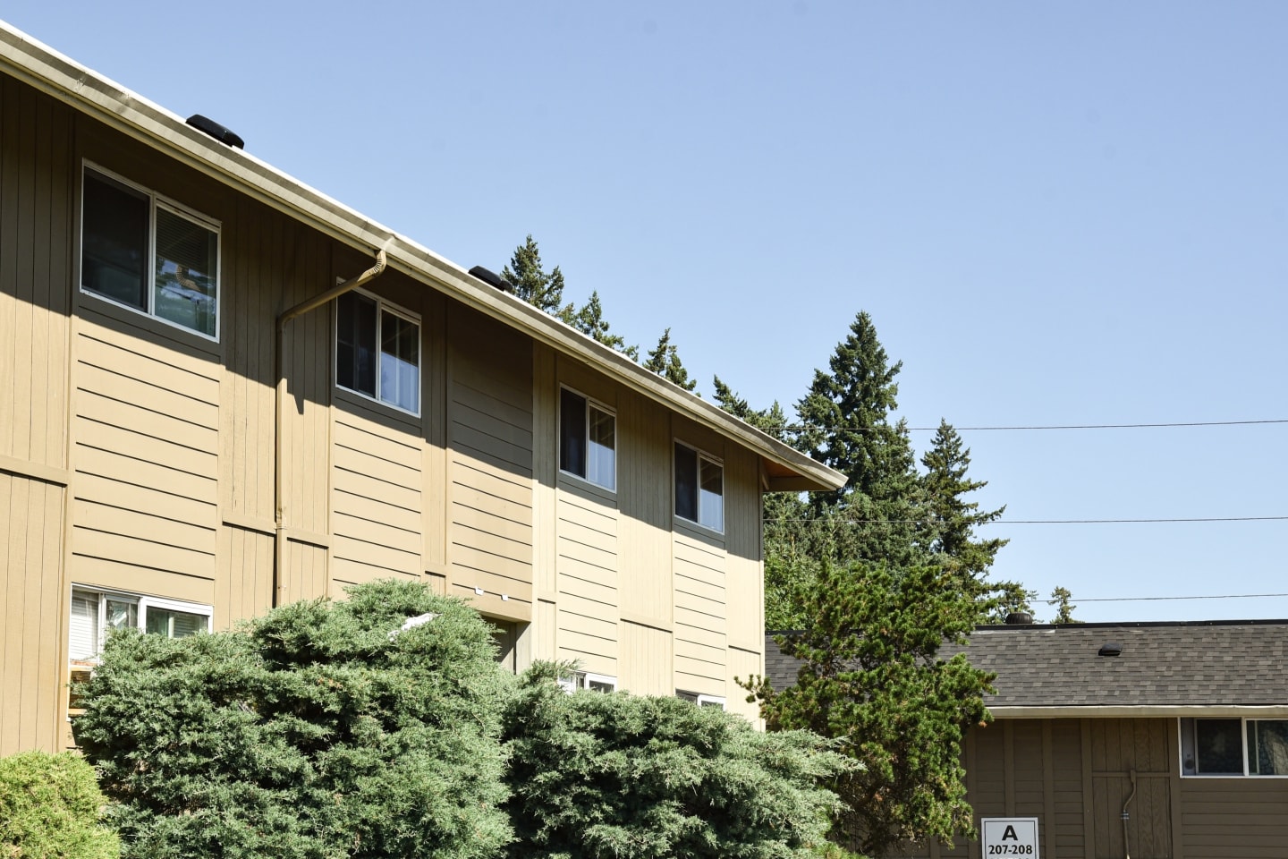 Halsey Summit Image 3
