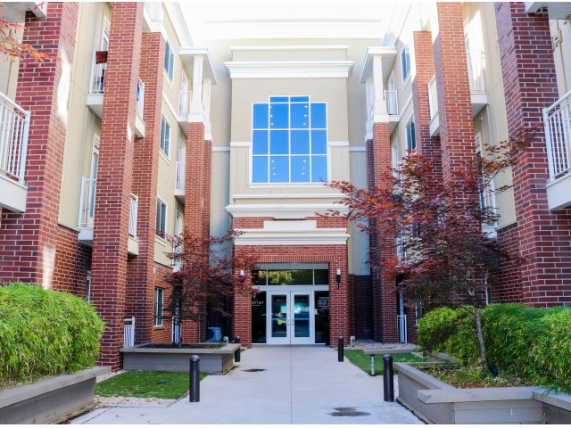 The Mercer Image 19