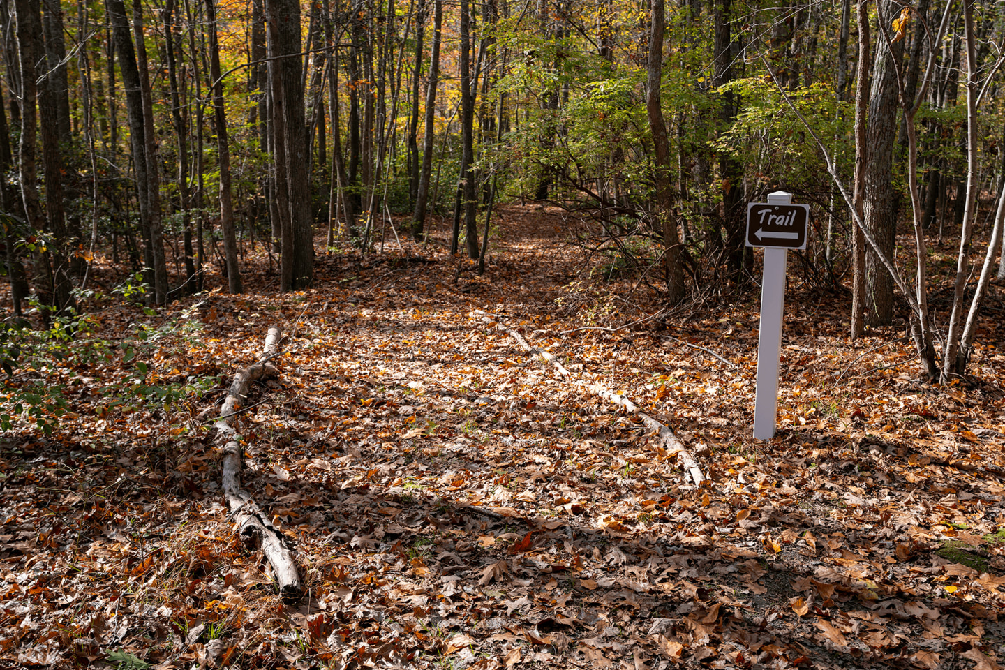 The Cascades at Tinton Falls Image 30