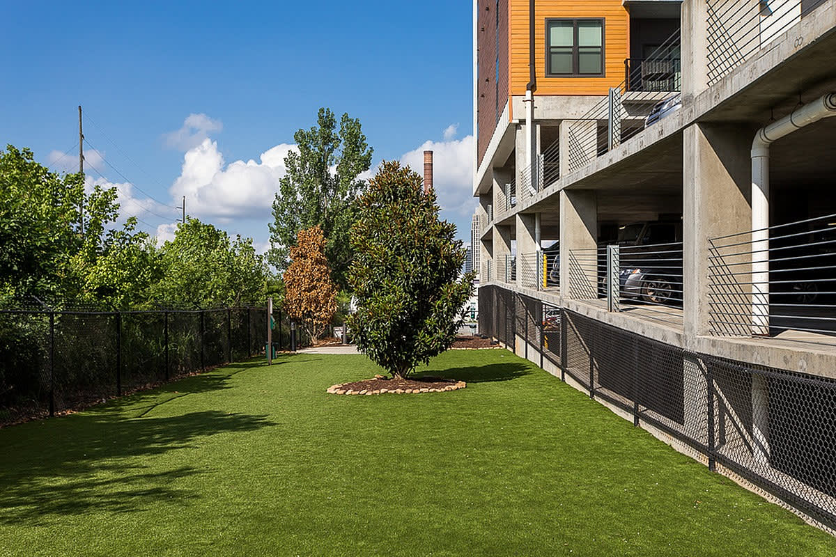 Cottonwood Westside Image 19
