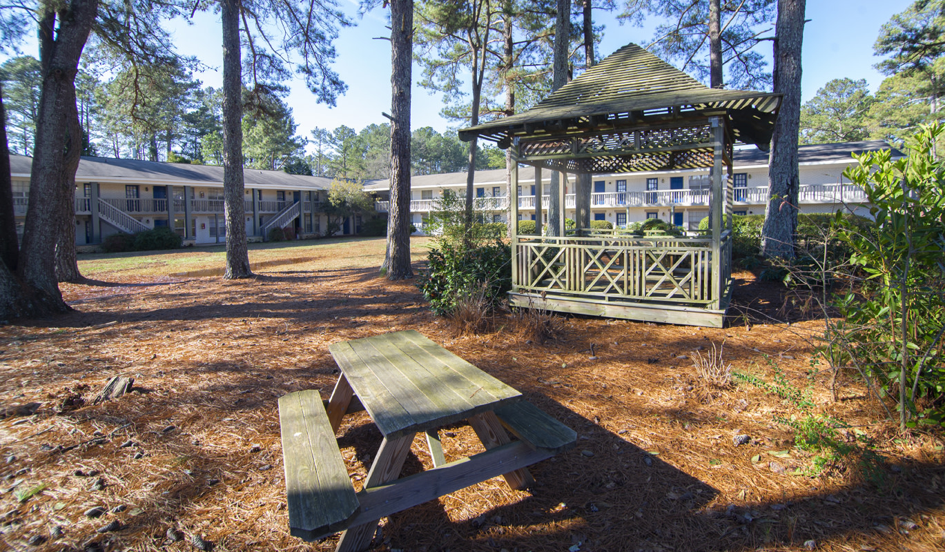 Brix on Beach Image 11