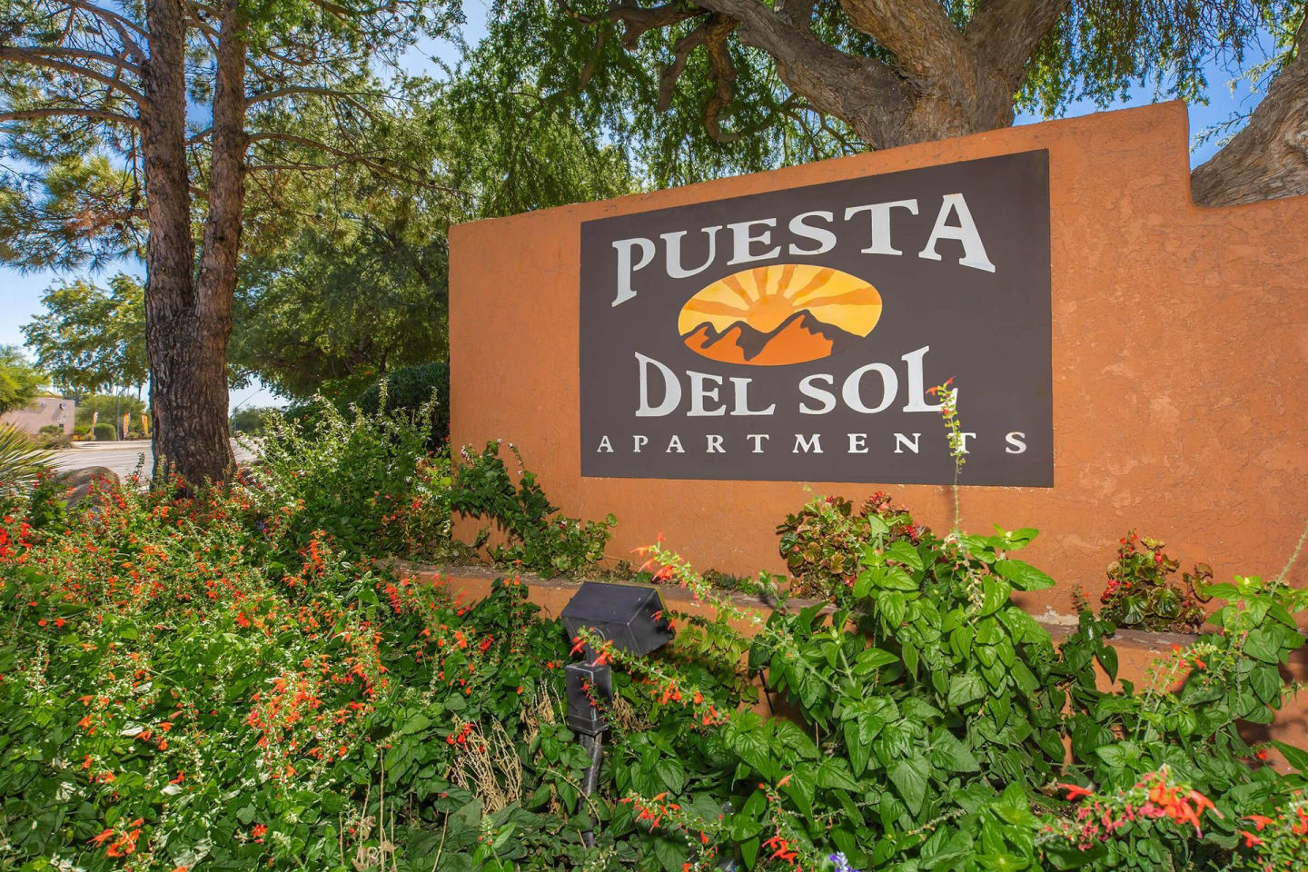 Puesta del Sol Image 1