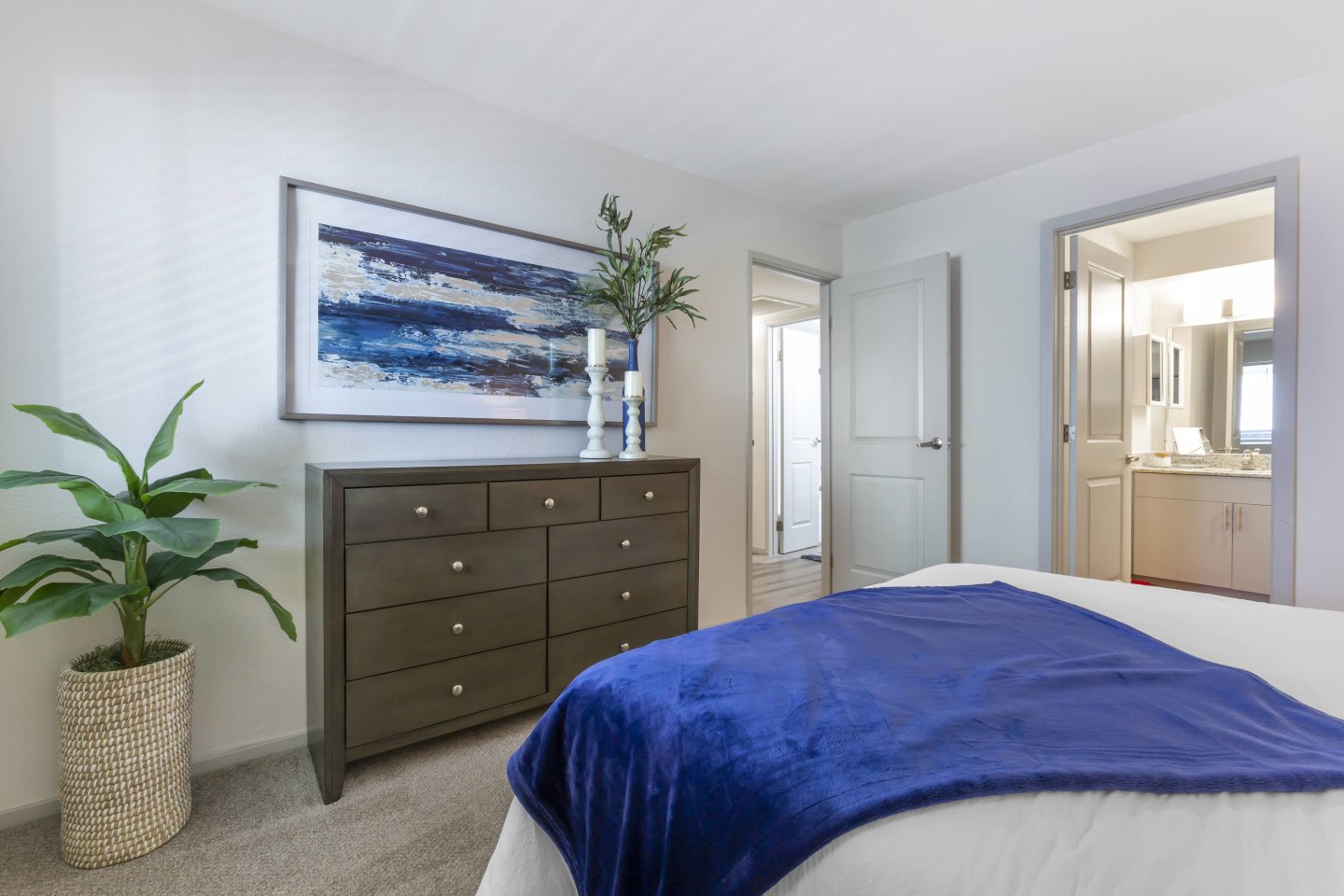 The Halifax Apartments Image 7