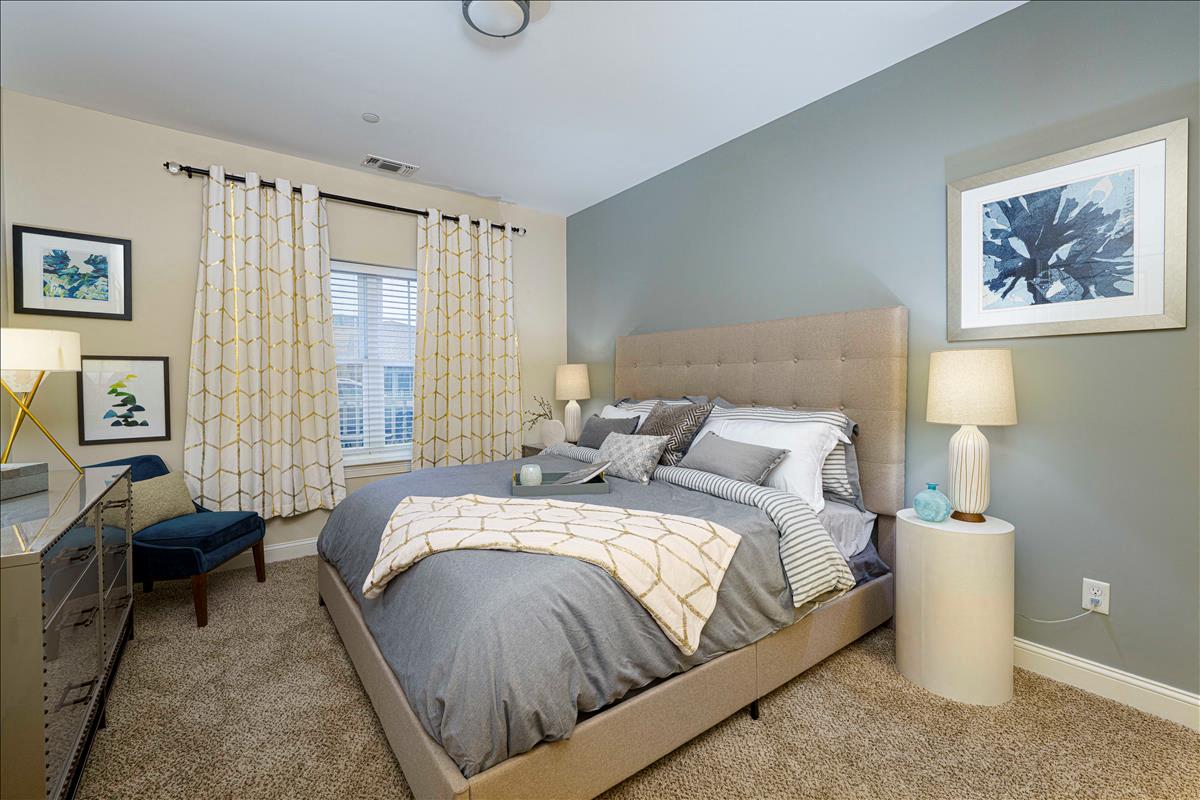 Axis at Lakeshore Image 18