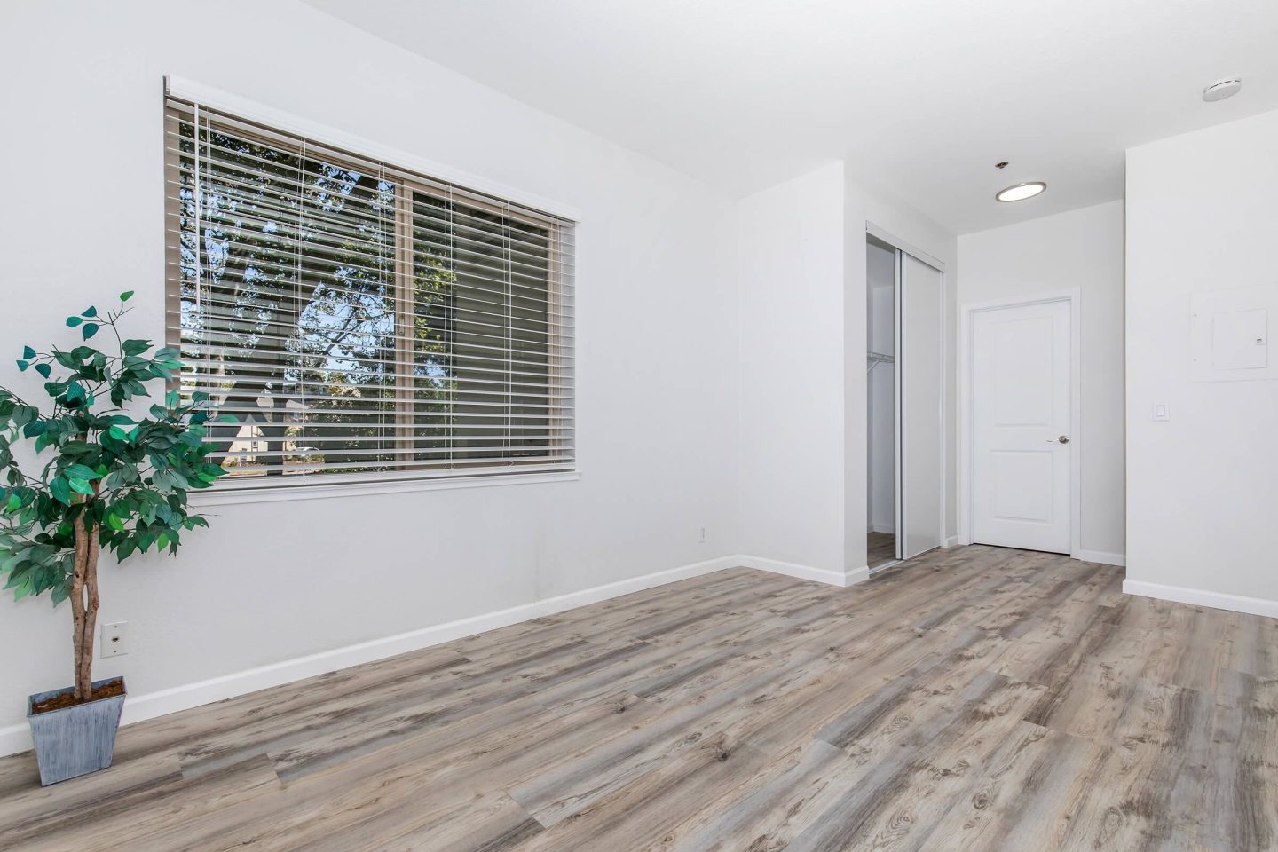 Paloma Vista Apartment Homes Image 50