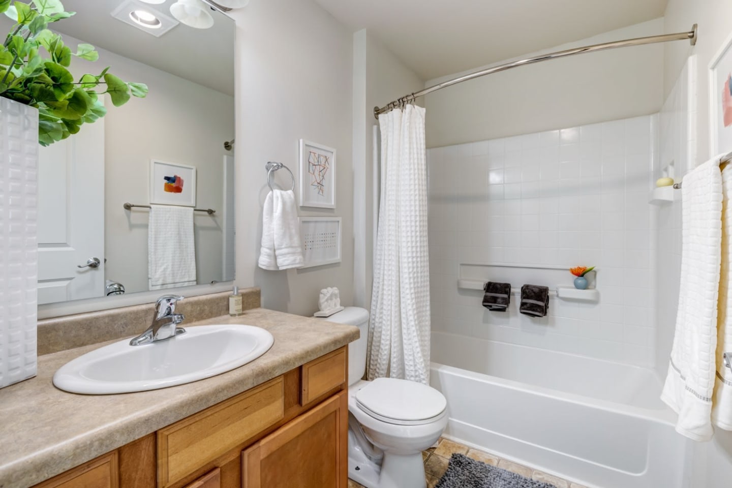 Apex Apartments Image 10