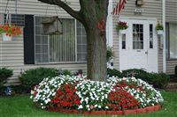 Village Oaks Apartments Image 9