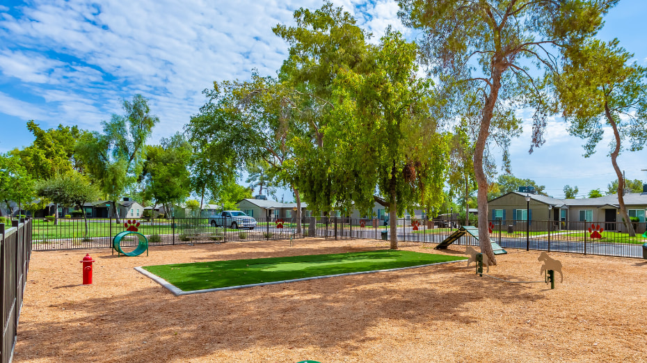 Park Shadows Image 1