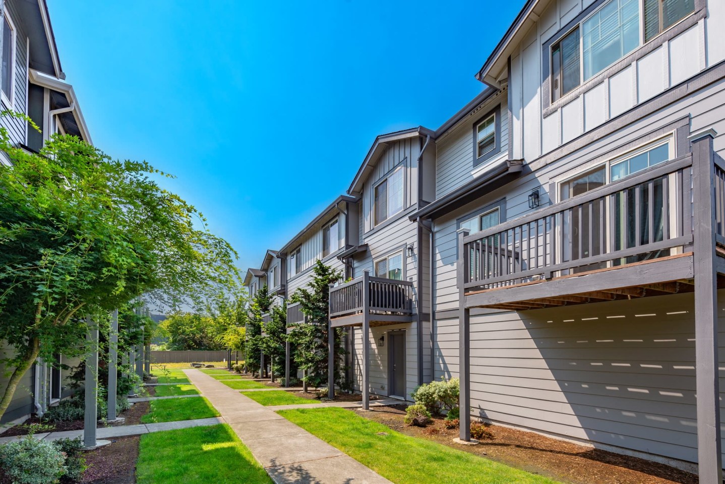 Aster Townhomes Image 4