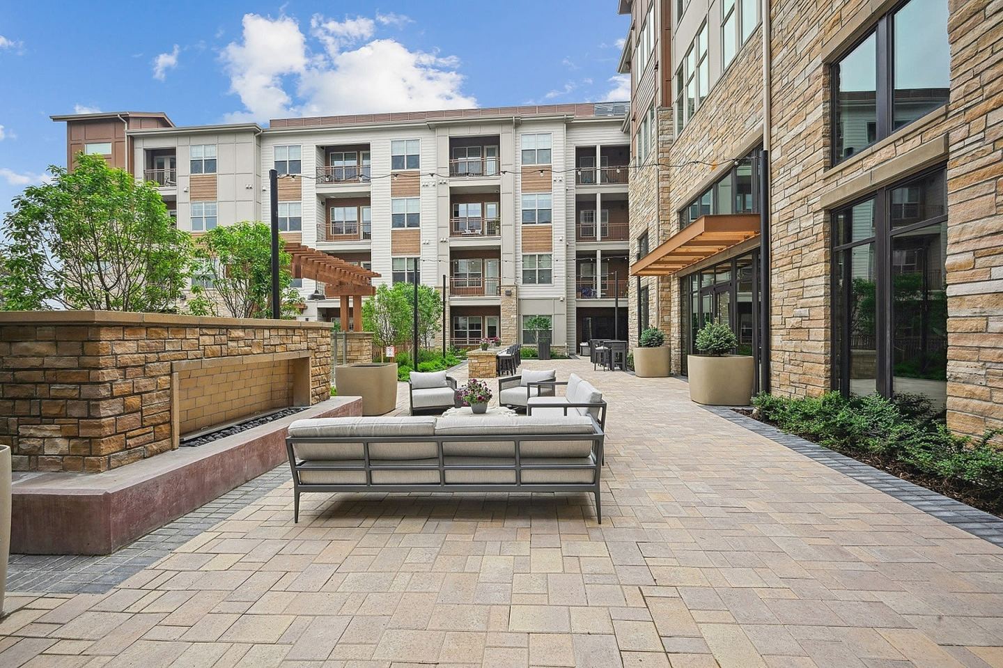The Elmwood Image 18