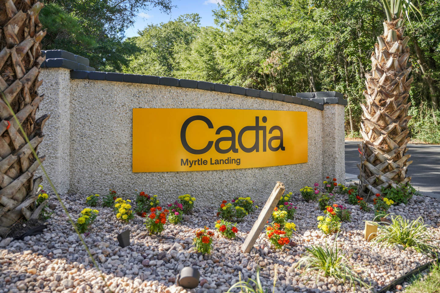 Cadia Myrtle Landing Image 53