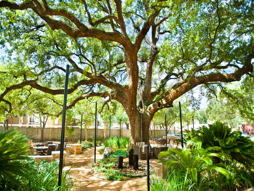 Terra at Piney Point Image 32