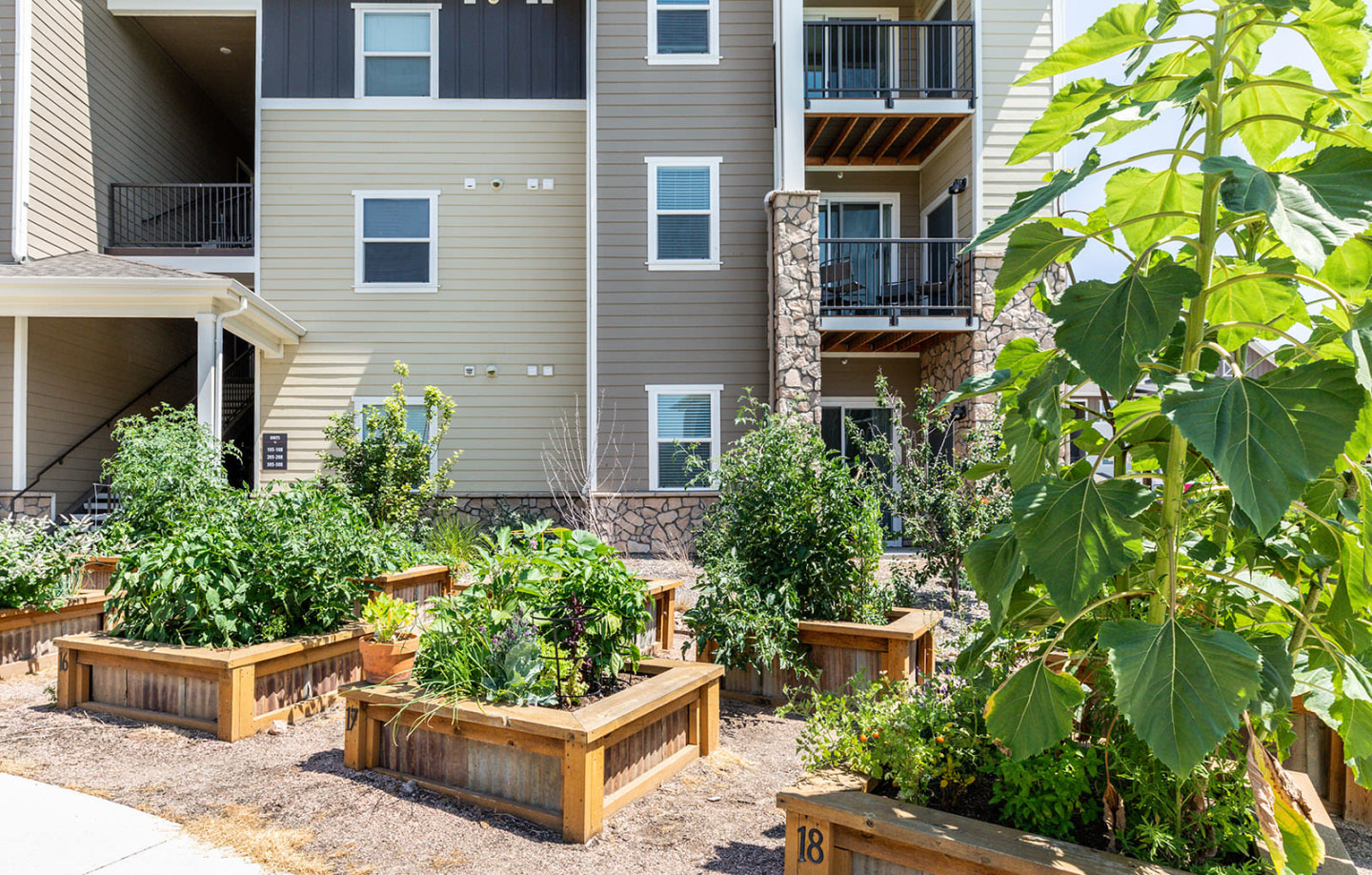 Bucking Horse Apartments Image 19