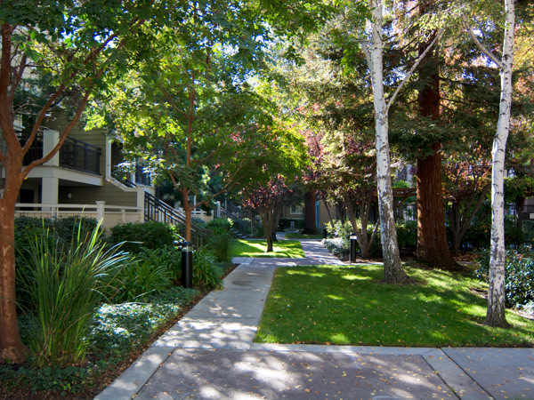 Park Central Apartments Image 21