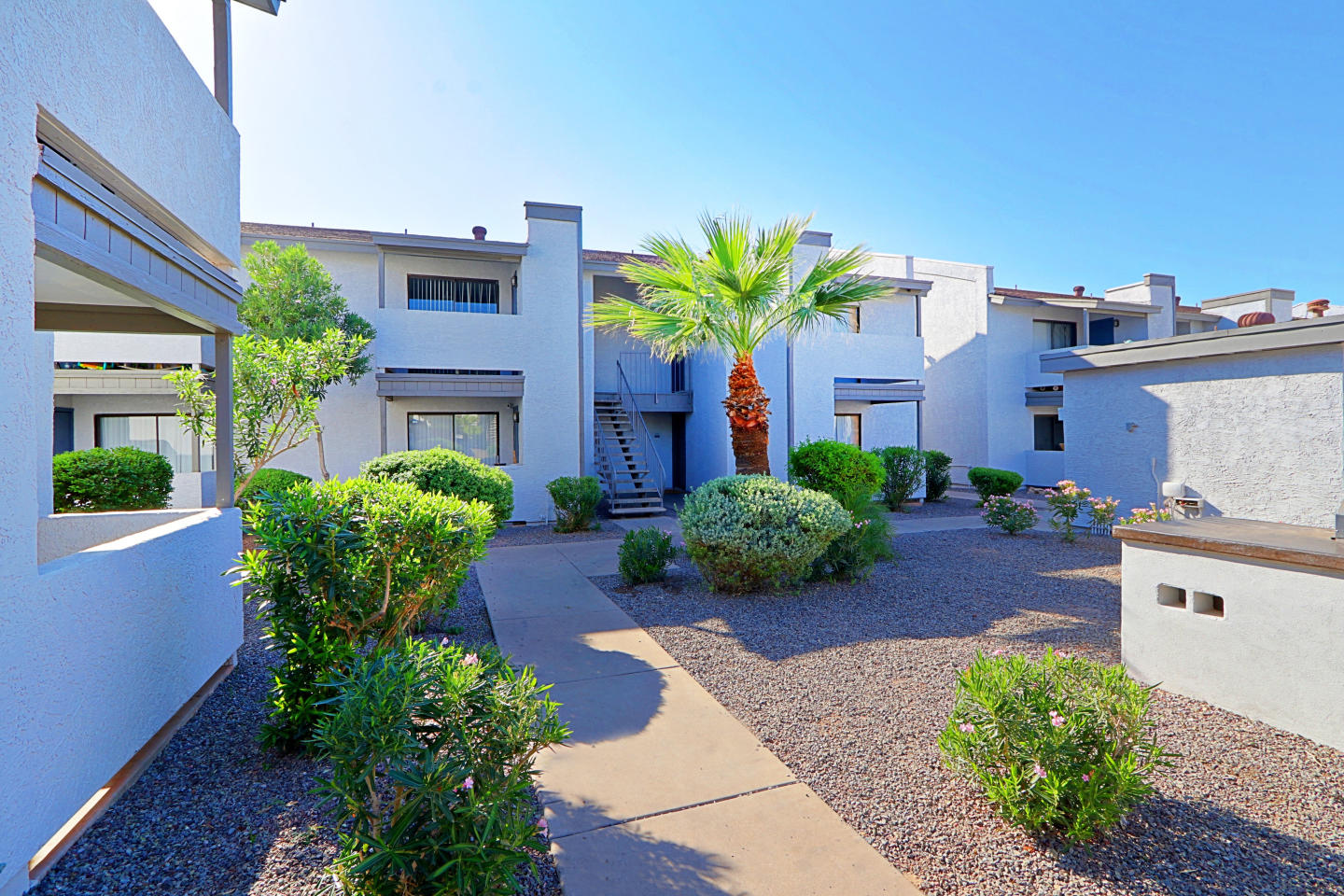 The Coronado (Palms on Monte Vista) Image 19
