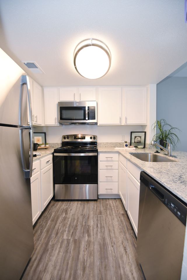 Affordable Housing- Carelton Courtyard Image 8