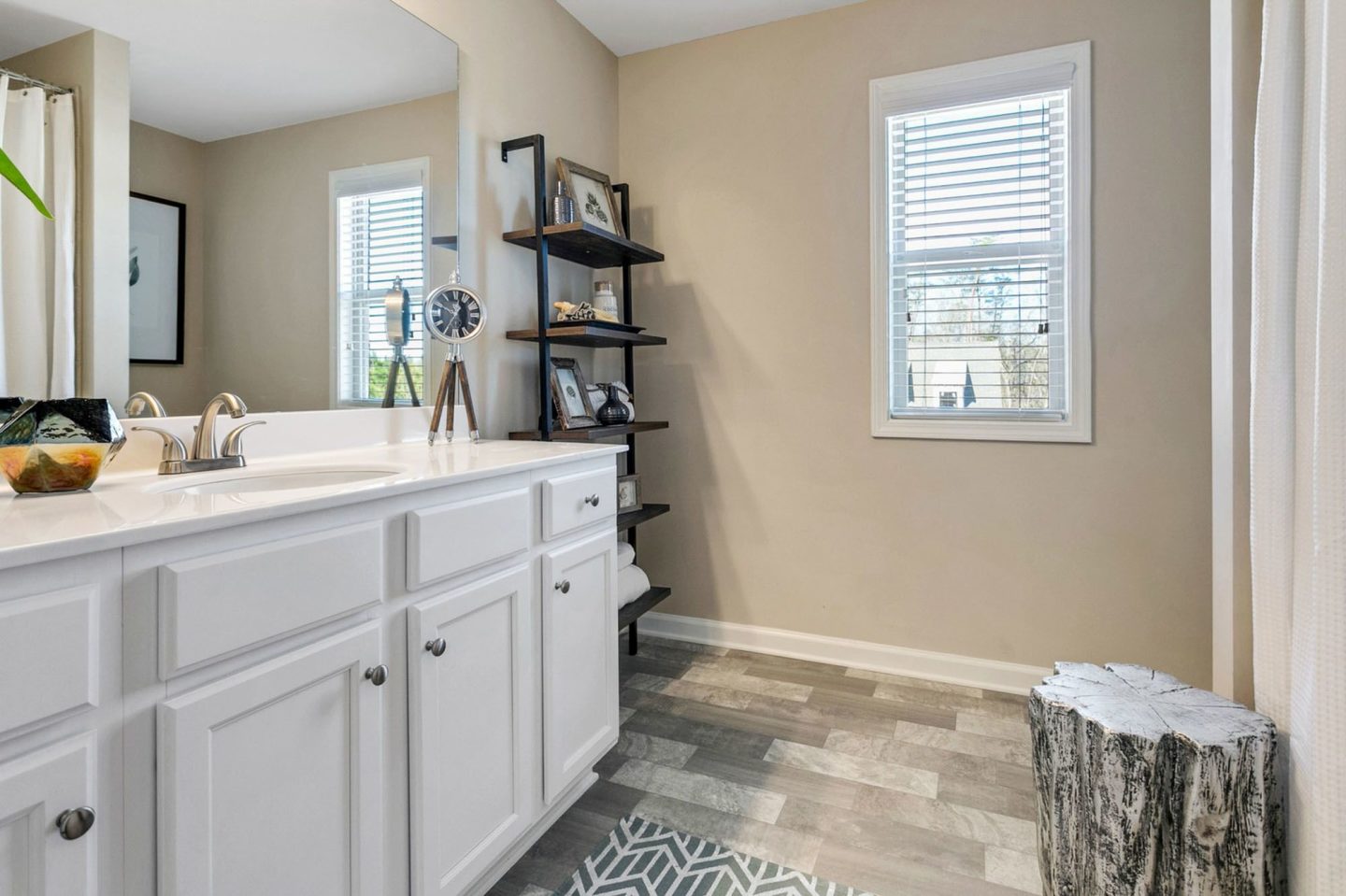Residences at the Bluffs - Homes for Rent Image 12