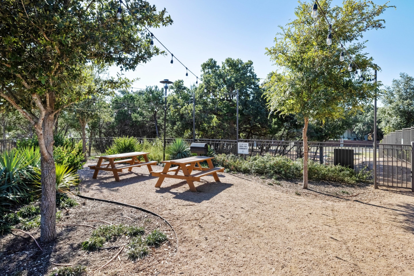 Los Robles Apartments Image 11