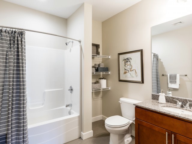 Balsam Place Image 12
