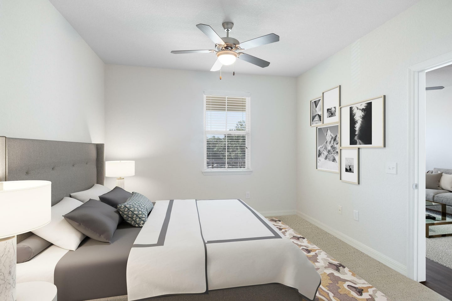 Cortona South Tampa Image 6