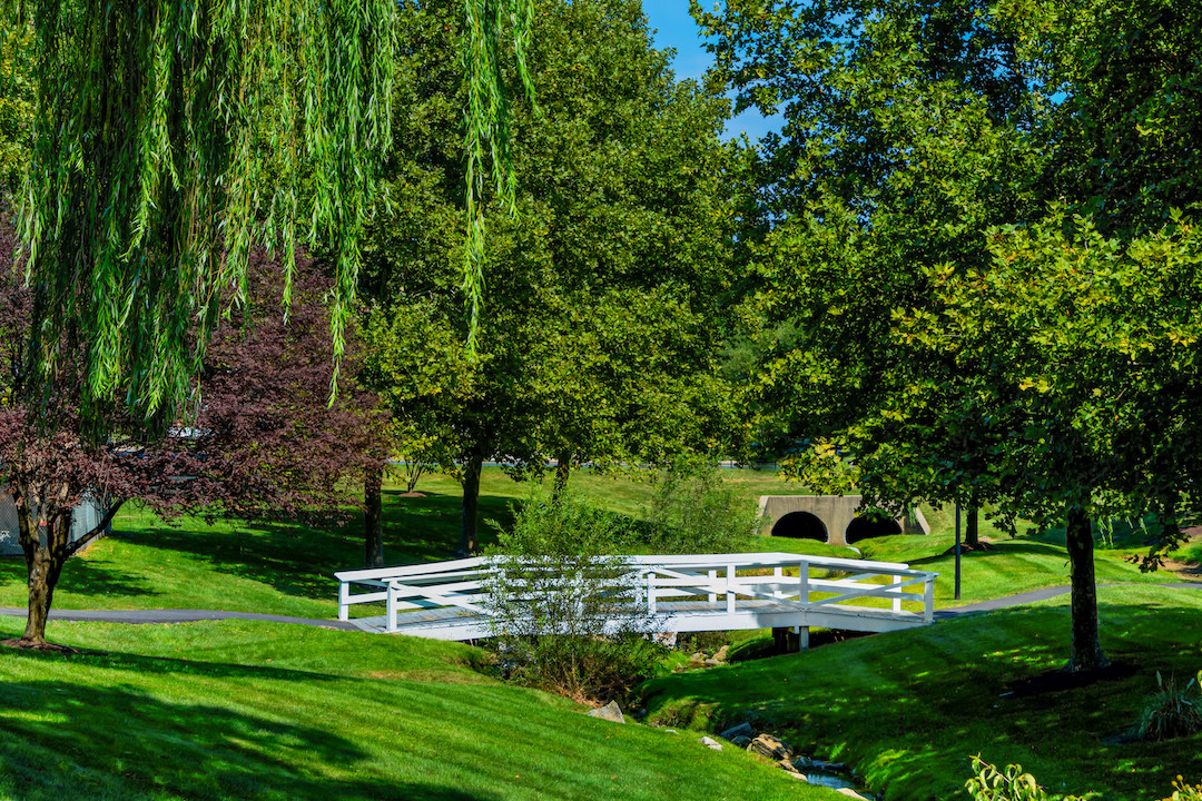 Deertree Image 20