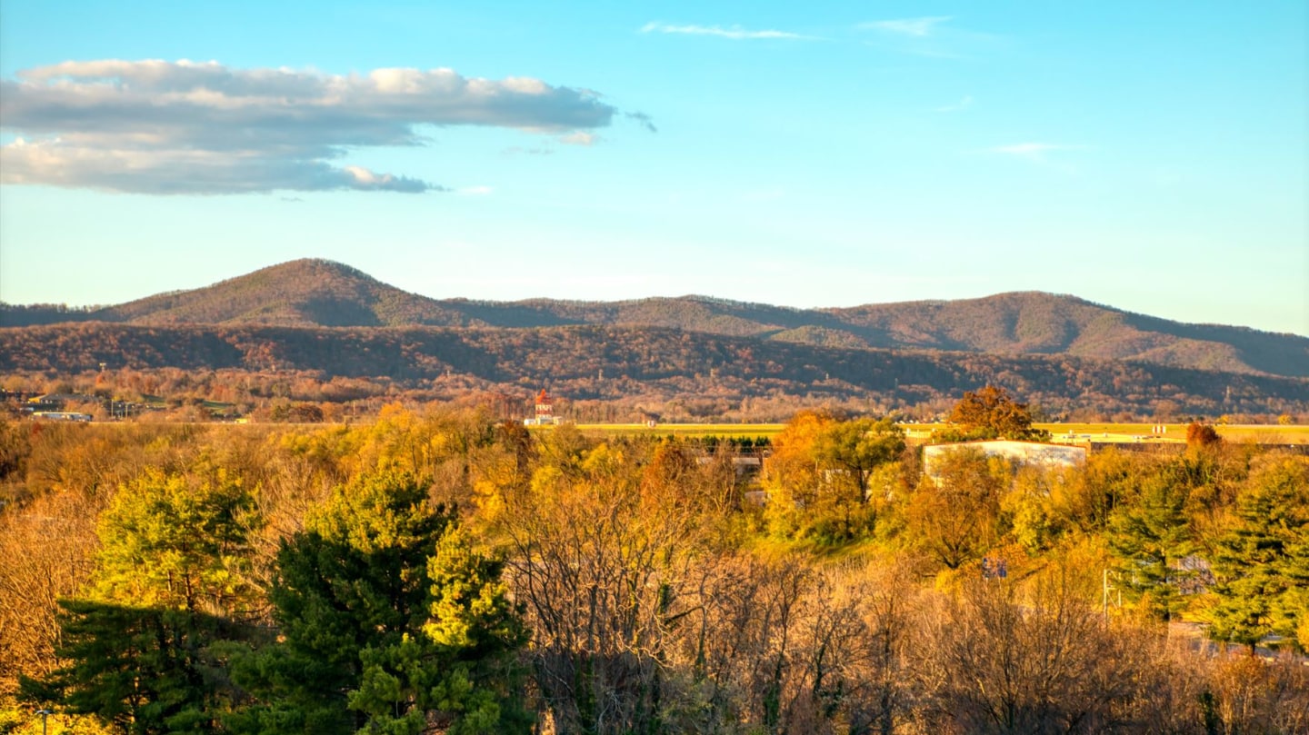 The View at Blue Ridge Commons Image 5