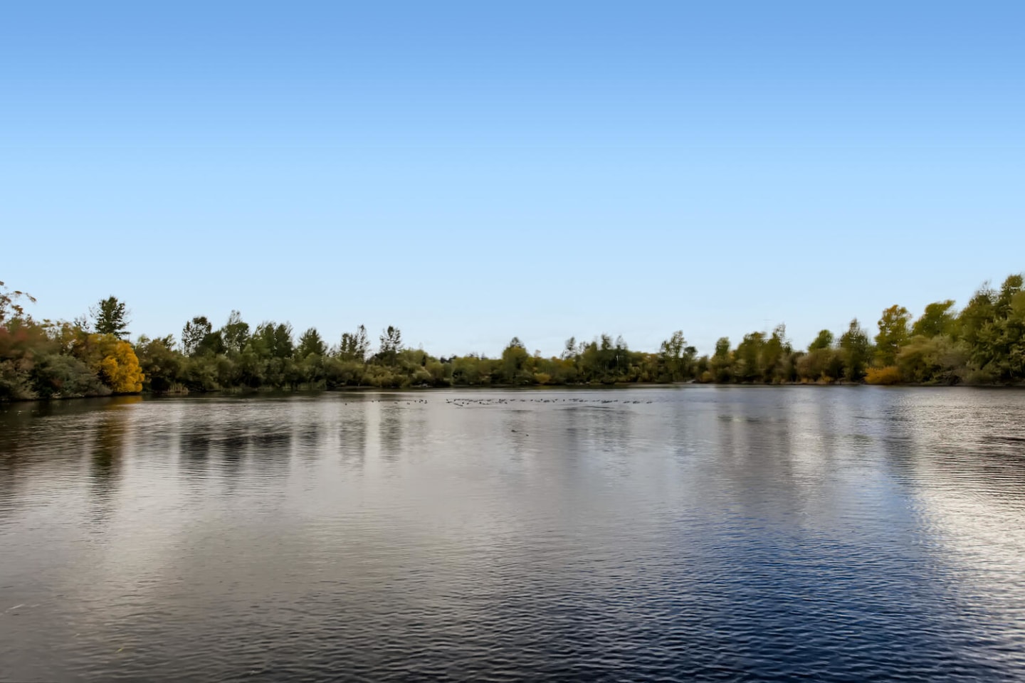 Lodges at Lake Salish Image 14