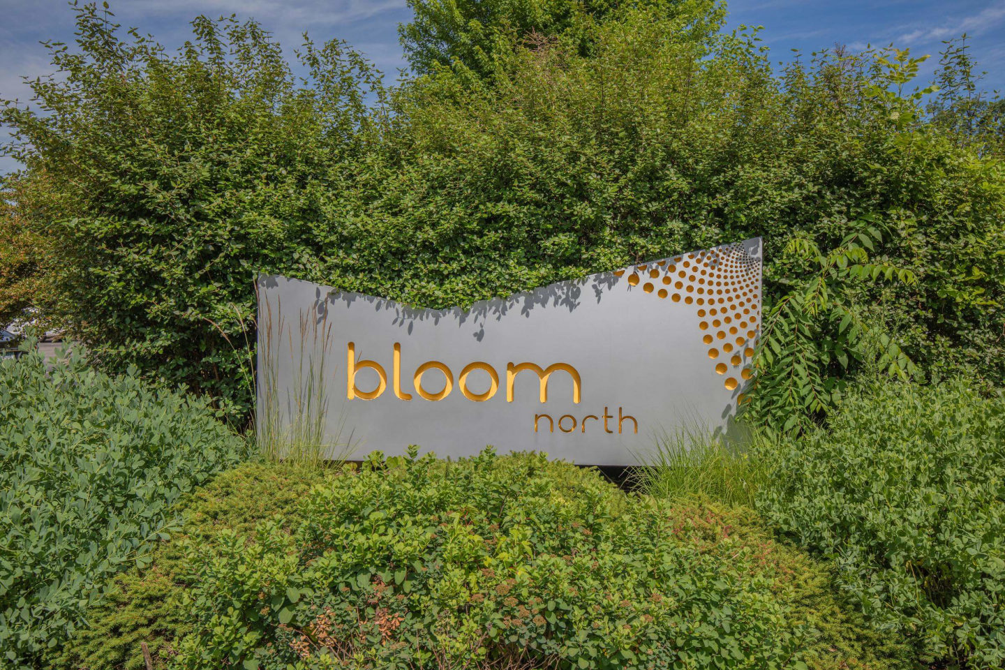 Bloom Image 21