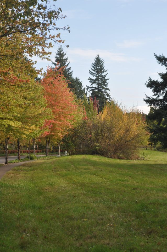 Corporate Woods Image 9