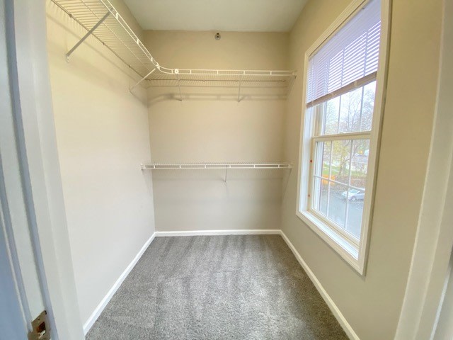 Spinnaker Station Image 13
