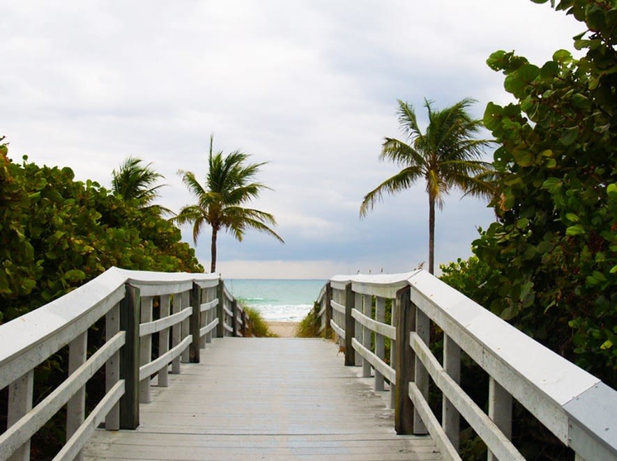 Sea View at Dania Image 47