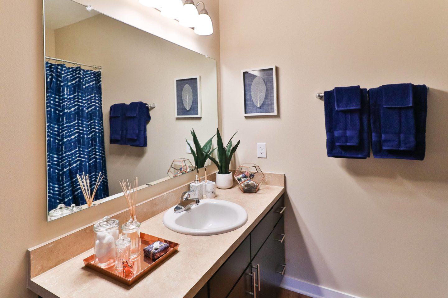 The Fenimore Phase II Image 13
