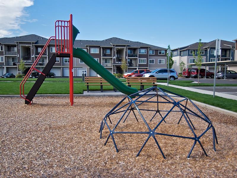 Baseline Woods Image 45