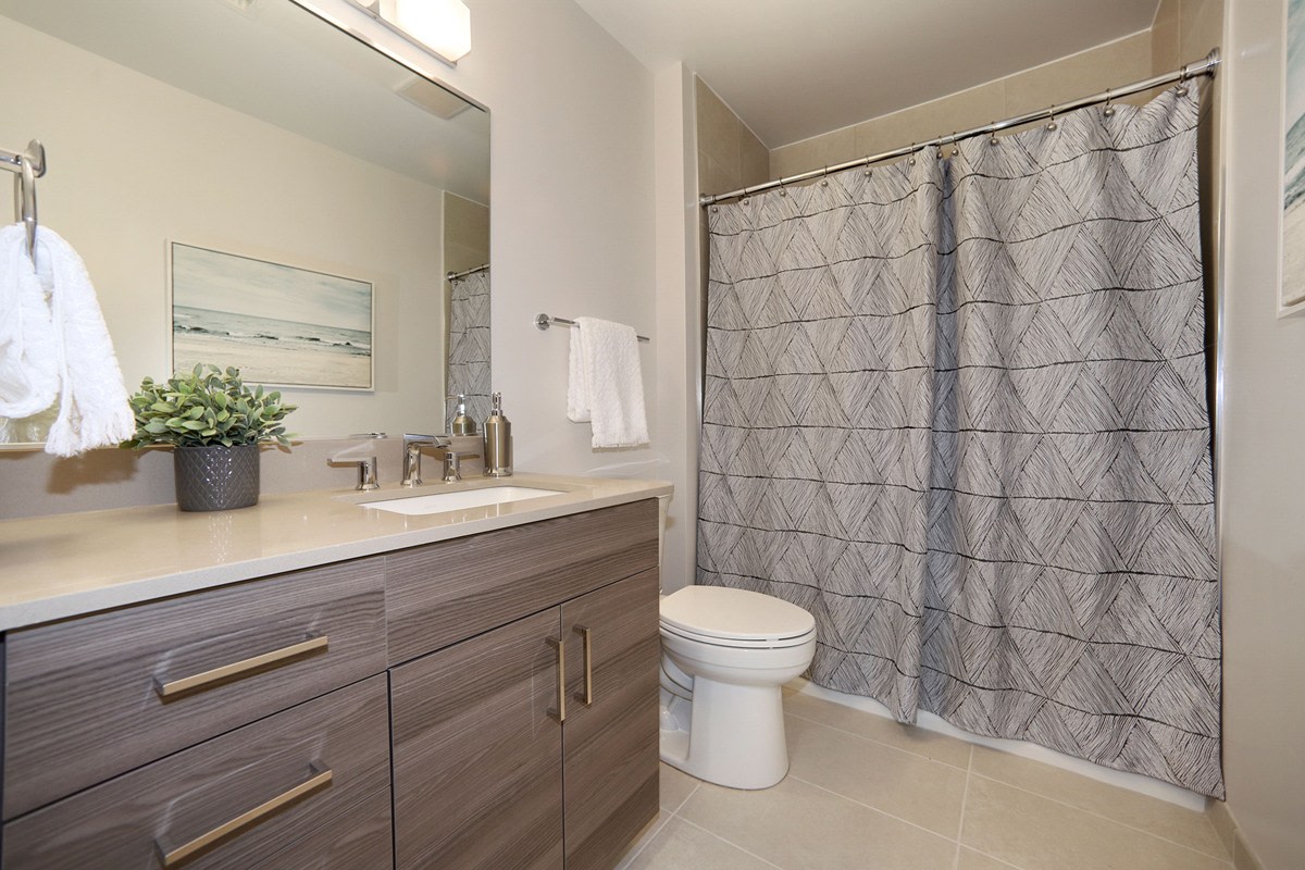 The Madrona Image 16