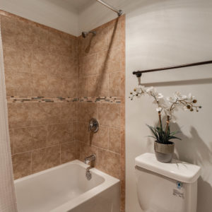 Park Plaza Apartments Image 10