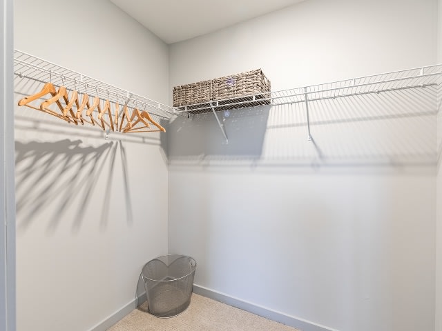The Chandler Image 20