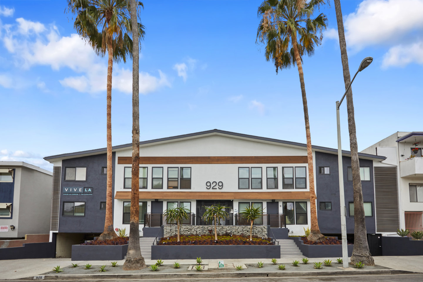 Chloe on Curson Image 18