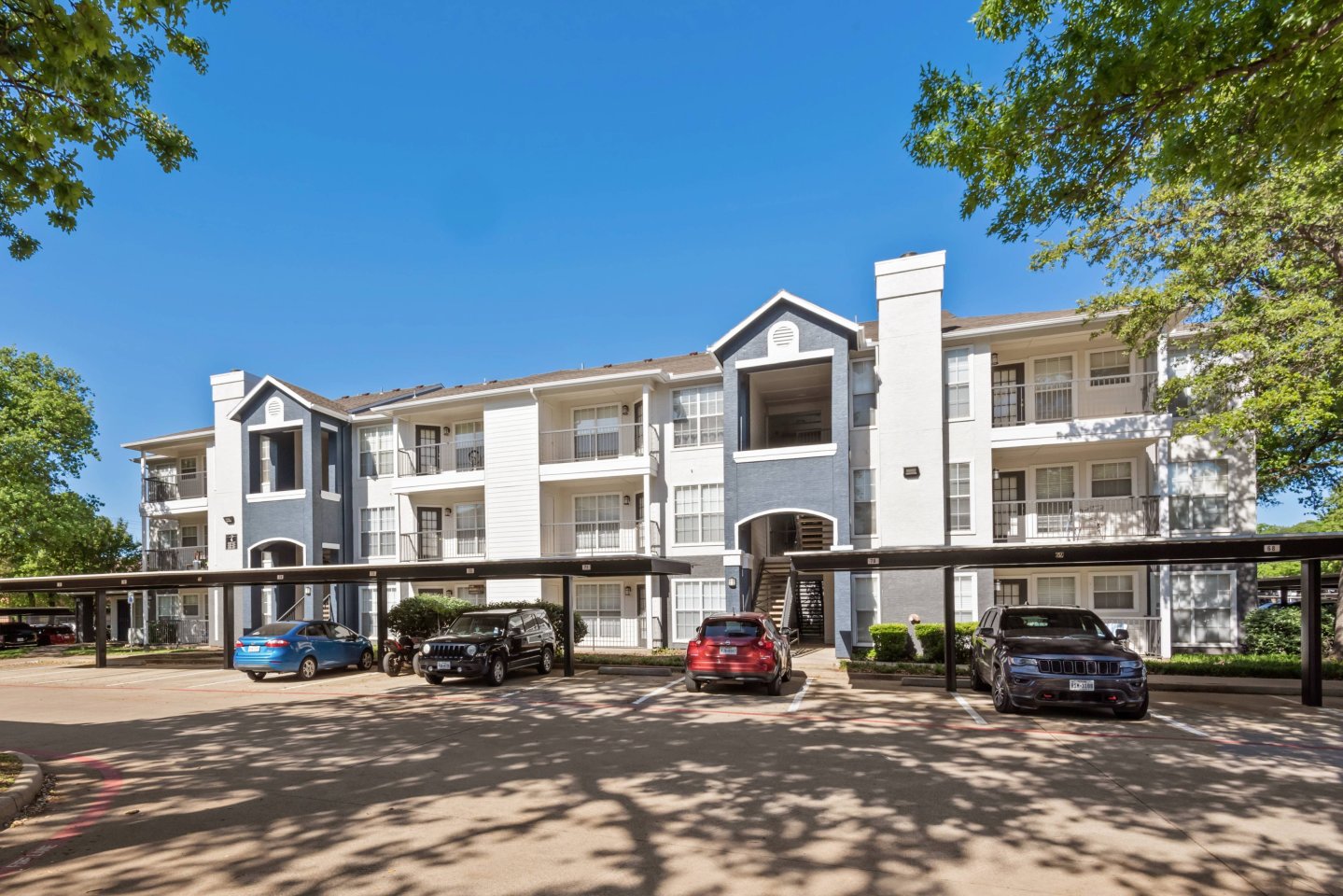 Oak Forest Image 17
