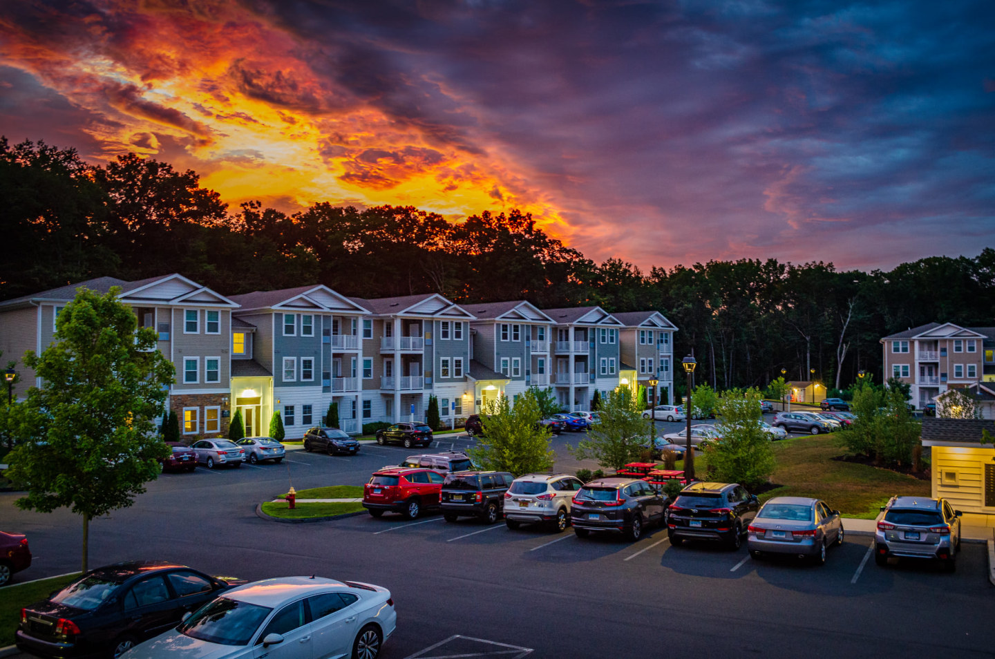 The Arbors at Brighton Park Image 1