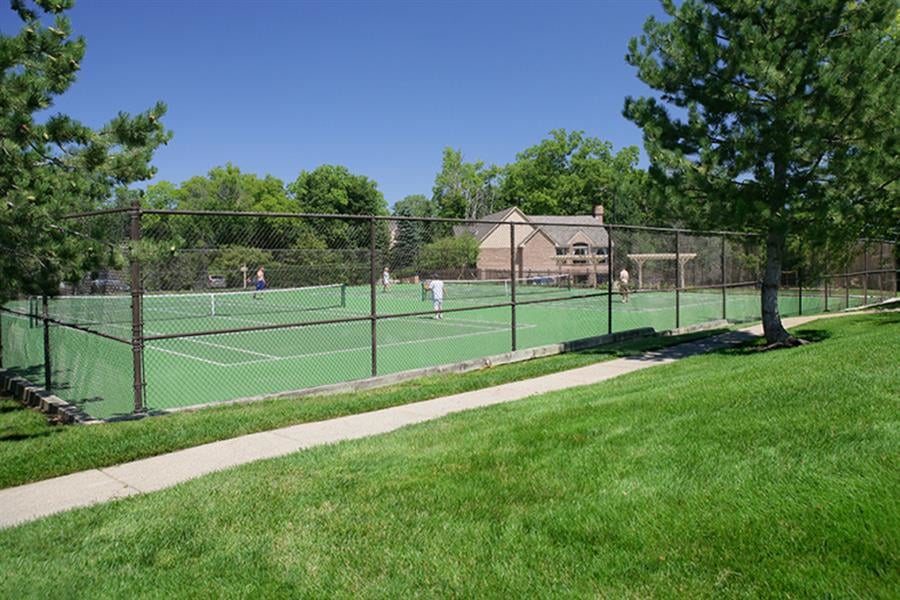 Saddle Creek Image 4